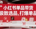 小红书单品带货，极致选品，打爆单品