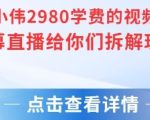 张小伟2980付费额视频号绿幕直播给你们拆解玩法