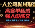 一人公司私域联盟，高客单私域，强人设成交，建私域 搞发售 广结盟 造势能