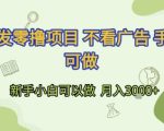 首发零撸项目 不看广告 手机可做 新手小白可以做  月入3k+【揭秘】
