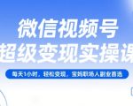 微信视频号超级变现实操课，每天1小时，轻松变现，宝妈职场人副业首选