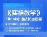 大卖家孵化中心TikTok实操课，TikTok小店成长加速器，跨境基础系统学习，一步一步带你开店
