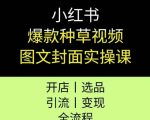 小红书爆款种草视频图文封面实操课，开店、选品、引流、变现全流程