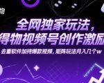全网独家玩法，得物视频号创作激励 去重软件加持爆款视频，矩阵玩法月入几个w【揭秘】