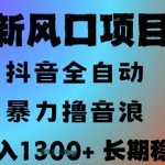 最新风口抖音无人直播撸音浪，全自动运行，小白可玩，长期稳定，日入1.3k，可批量收益翻倍【揭秘】