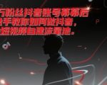 千万粉丝抖音账号幕后操盘手教你如何做抖音，掘金短视频自建流量池