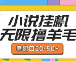 最新小说挂G自撸玩法本人实操单窗口20-50+可矩阵放大操作【揭秘】