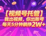 【视频号托管 】我出视频，你出账号，每天5分钟发布，最高躺挣2W+【揭秘】