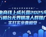 电商线上成长营2025年，万相台无界关键词推广-万相台无界精准人群推广-实打实亲囊相受