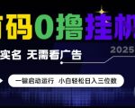 首码0撸挂G项目，无需实名无需看广告 一键启动运行，小白轻松日入三位数【揭秘】