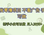 首发零撸项目 不看广告 手机可做 新手小白可以做  月入3k+【揭秘】