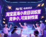 淘宝蓝海小类目训练营， 竞争小，可复制性强