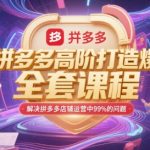 拼多多高阶打造爆款全套课程，解决拼多多店铺运营中99%的问题
