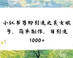 小红书男粉引流项目之美女账号6，简单制作，条条爆款原创，不违规