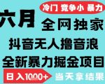 2025年6月高爆抖音无人直播最新撸音浪掘金项目，无脑日入1k+，低门槛小白可做，可矩阵放大【揭秘】