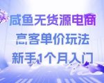咸鱼无货源电商，高客单价玩法，新手1个月入门