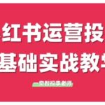 小红书运营投流，小红书广告投放从0到1的实战课，学完即可开始投放（更新）
