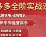 拼多多全阶实战课程，全维攻略，破局增长，从新手到运营高手
