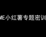 ME小红薯专题密训-小红书电商教程