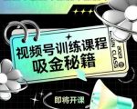 如何做好视频号，视频号训练课程，吸金秘籍