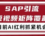 小红书某音sap赛道引流获客 自热矩阵日引200+【揭秘】