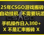 25年CSGO游戏搬砖，全自动运行，不需要玩游戏，手机操作日入3张(不是汇率搬砖)【揭秘】