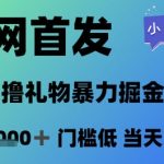 全网首发，无人直播撸礼物暴力掘金项目，小白可玩，日入1k+ 门槛低，当天拿结果【揭秘】