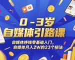 0-3岁自媒体引路课，自媒体挣钱零基础入门，自媒体月入2W的23个秘法