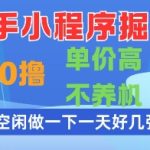 快手小程序掘金，纯0撸，单价高不养机 利用空闲时间做一做，一天好几张【揭秘】