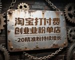 淘宝打付费创业粉单店每天稳定10-20精准粉持续增长【揭秘】