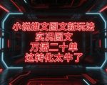 小说推文图文新玩法，实况图文，万播二十单，这转化太牛了！