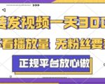 转发视频一天3张+，正规平台放心做，不看播放量，不看粉丝量，一个任务几分钟完成【揭秘】