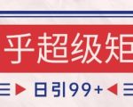 知乎超级矩阵玩法引流高质量精准粉SEO覆盖，日变现1k+【揭秘】