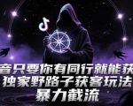 抖音只要你有同行就能获客，独家野路子获客玩法，暴力截流【揭秘】