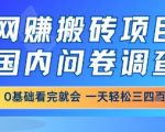 网创搬砖项目，国内问卷调查，小白轻松上手，一天三四张的也不难，干就完了【揭秘】