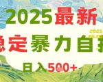2025最新暴力自撸项目，日入5张+，可矩阵操作【揭秘】