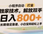 小程序自动打金独家技术，解放双手日入8张，长期稳定靠谱，小白宝妈轻松上手【揭秘】