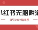 小红书只要你有同行就能获客，独家野路子获客玩法，暴力截流【揭秘】