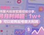 小红书聚光投放实操经验分享，单号月利润超1w+，可以矩阵起号放大利润