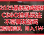 2025最新游戏搬砖，CSGO挂G，不需要玩游戏，实现真挂G，月入1W+【揭秘】