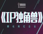 IP独角兽，孵化网红企业，ip教程