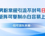 小红书男粉常规引流不封号日引99+变现简单 可矩阵可复制小白容易上手