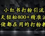 小红书打粉引流，一天轻松500+精准流量，大佬都在用的打粉教程