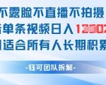 不露脸不直播不拍摄抖音单条视频日入1k+这个项目适合所有人长期积累的项目