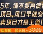 什么？25年你还在疯狂找项目做，醒醒吧，看完这些你全都懂了【揭秘】