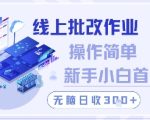 线上批改作业，操作简单新手小白首选，无脑日收300+【揭秘】