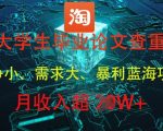 大学生毕业论文查重，暴利蓝海项目，月收入过1W+