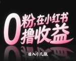 0粉在小红书撸收益，日入几张