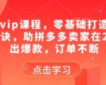 拼多多vip课程，零基础打造店铺的核心秘诀，助拼多多卖家在2025卖出爆款，订单不断
