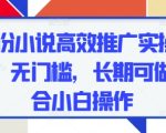 五月份小说高效推广实操，0成本，无门槛，长期可做，适合小白操作